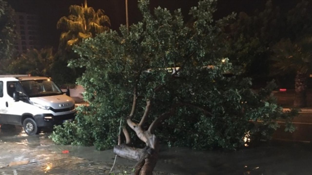 Adana'da sağanak ve kuvvetli rüzgar hayatı olumsuz etkiledi