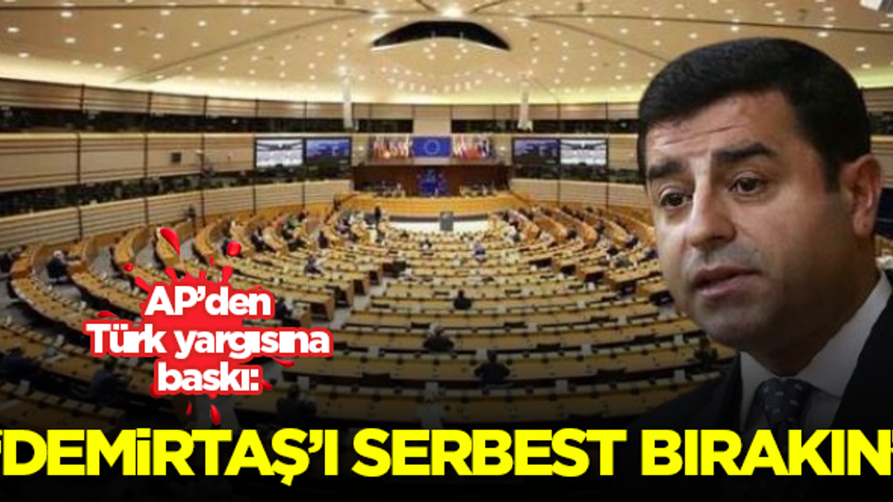 Avrupa Parlamentosu'ndan Türk yargısına baskı: Selahattin Demirtaş'ı serbest bırakın