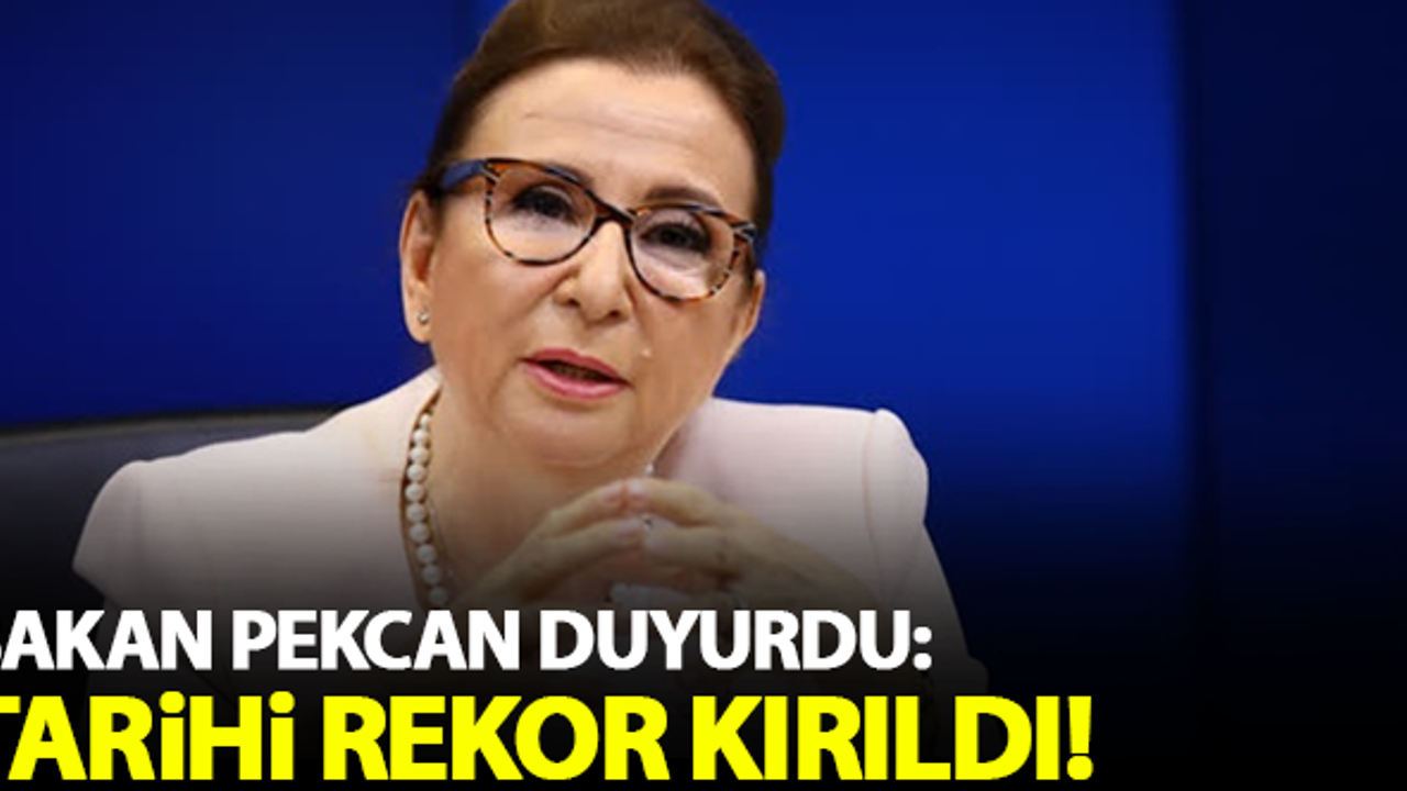 Bakan Pekcan duyurdu: Tarihi rekor kırıldı!