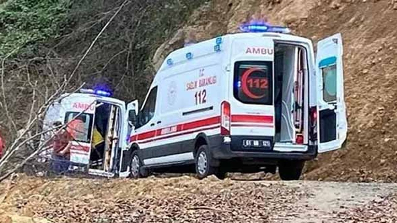 'Deli bal' yiyen iki kişi hastanelik oldu