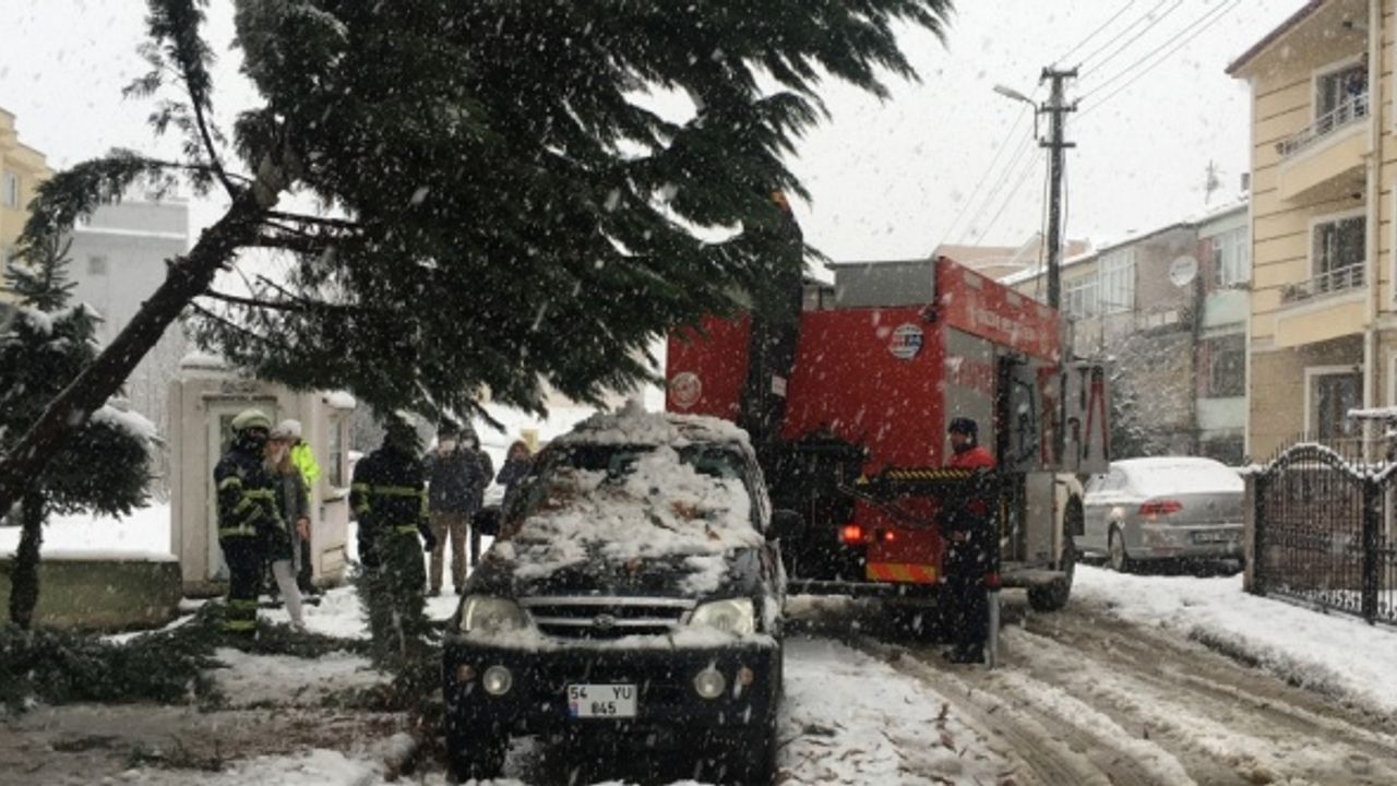 Düzce'de yoğun kar yağışı nedeniyle arazi aracının üzerine ağaç devrildi