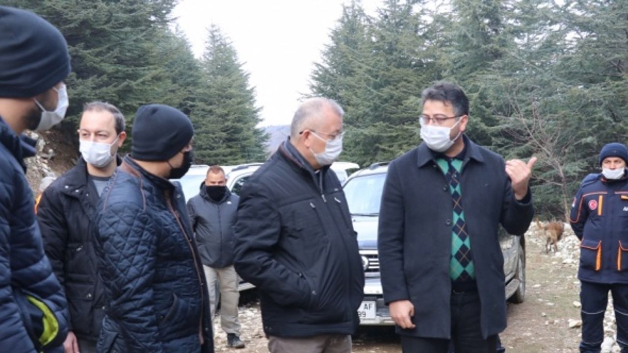 Kayıp ihbarı yapılan kadın ormanlık alanda ölü bulundu