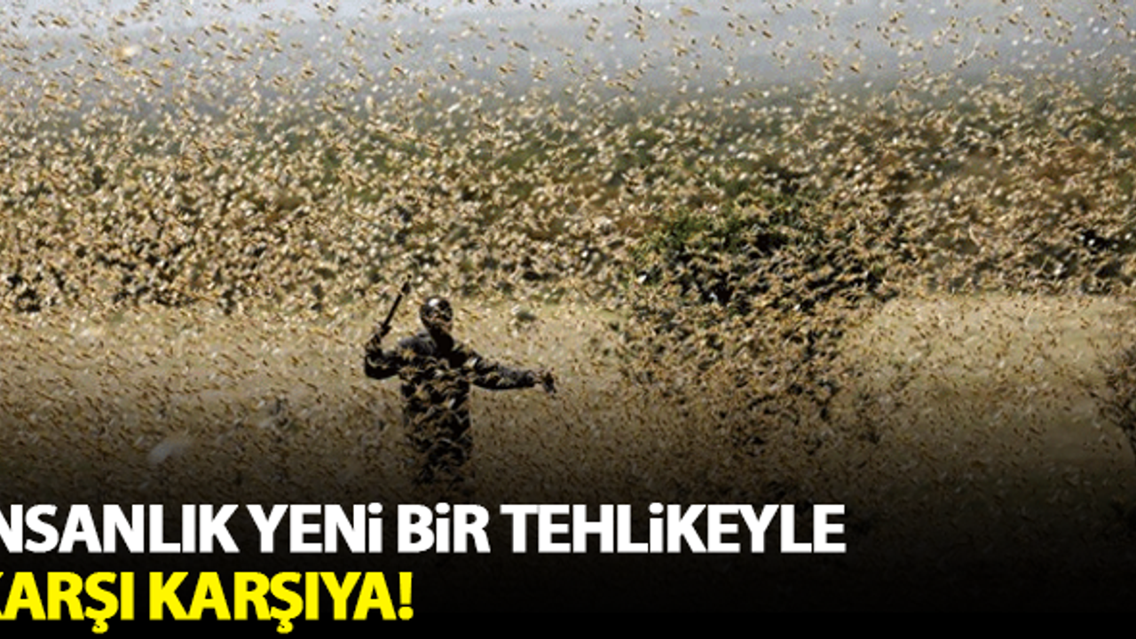 İnsanlık yeni bir tehlikeyle karşı karşıya!