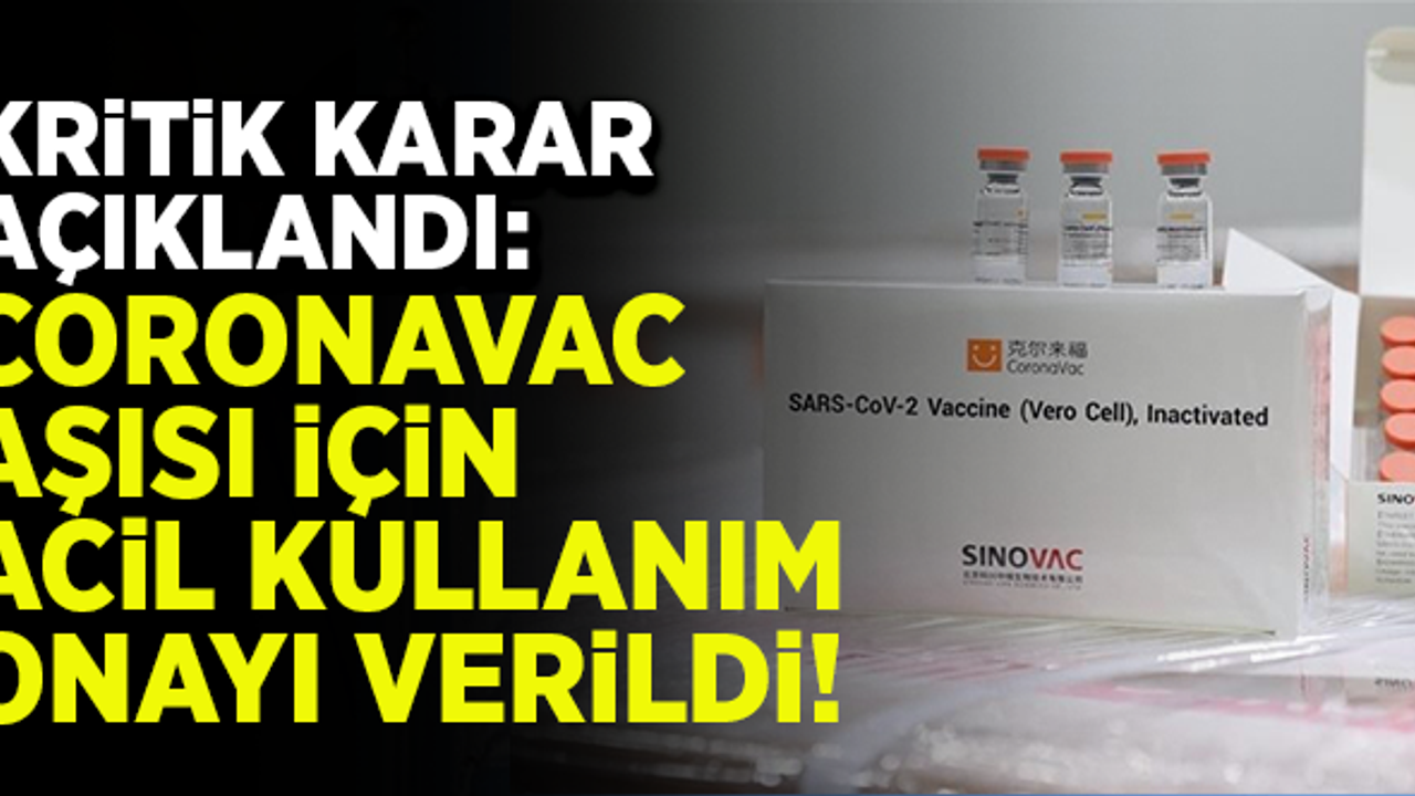 Kritik karar açıklandı! CoronaVac aşısı için 'Acil Kullanım Onayı' verildi
