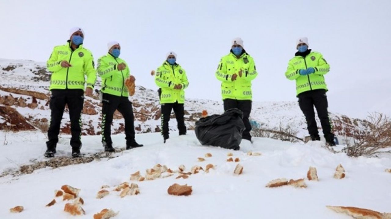 Malatya'da polisler, yaban hayvanları için doğaya yem ve ekmek bıraktı