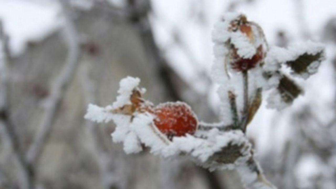 Meteoroloji'den o illere kritik uyarı!