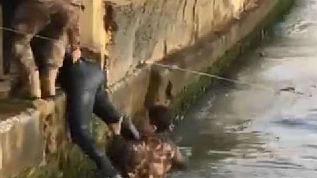 Özel harekat polisi gözünü kırpmadan atladı! Denize düşen turisti kurtardı...