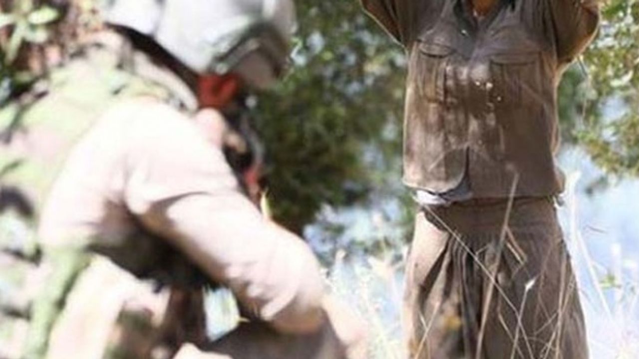 Siirt'te 2 terörist ikna sonucu güvenlik güçlerine teslim oldu