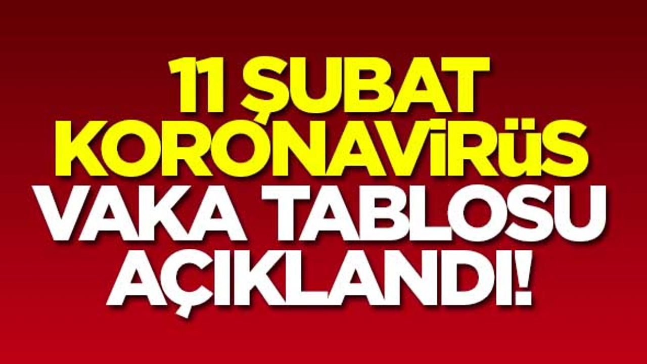 11 Şubat koronavirüs vaka tablosu açıklandı