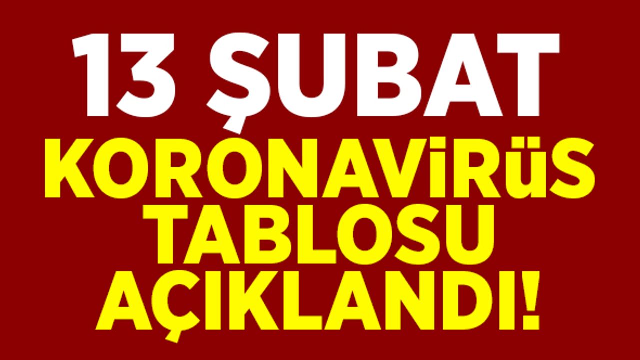 13 Şubat koronavirüs tablosu açıklandı!