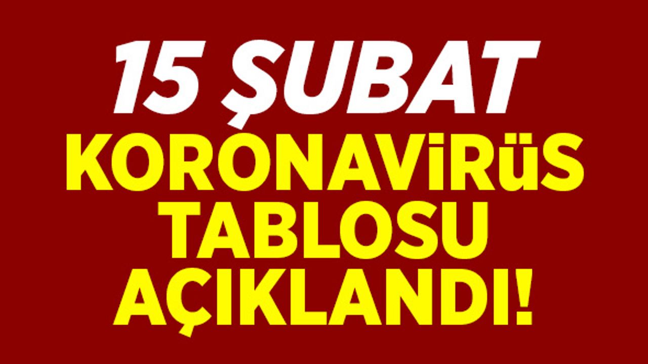 15 Şubat koronavirüs tablosu açıklandı!
