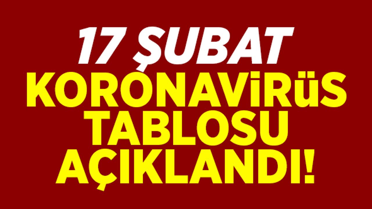 17 Şubat koronavirüs tablosu açıklandı!