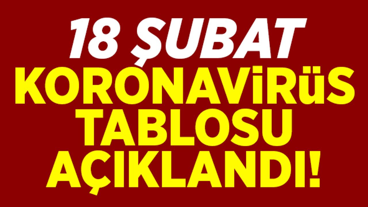 18 Şubat koronavirüs tablosu açıklandı!