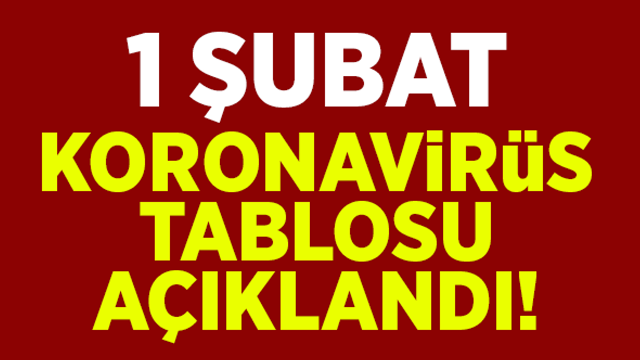 1 Şubat koronavirüs tablosu açıklandı!