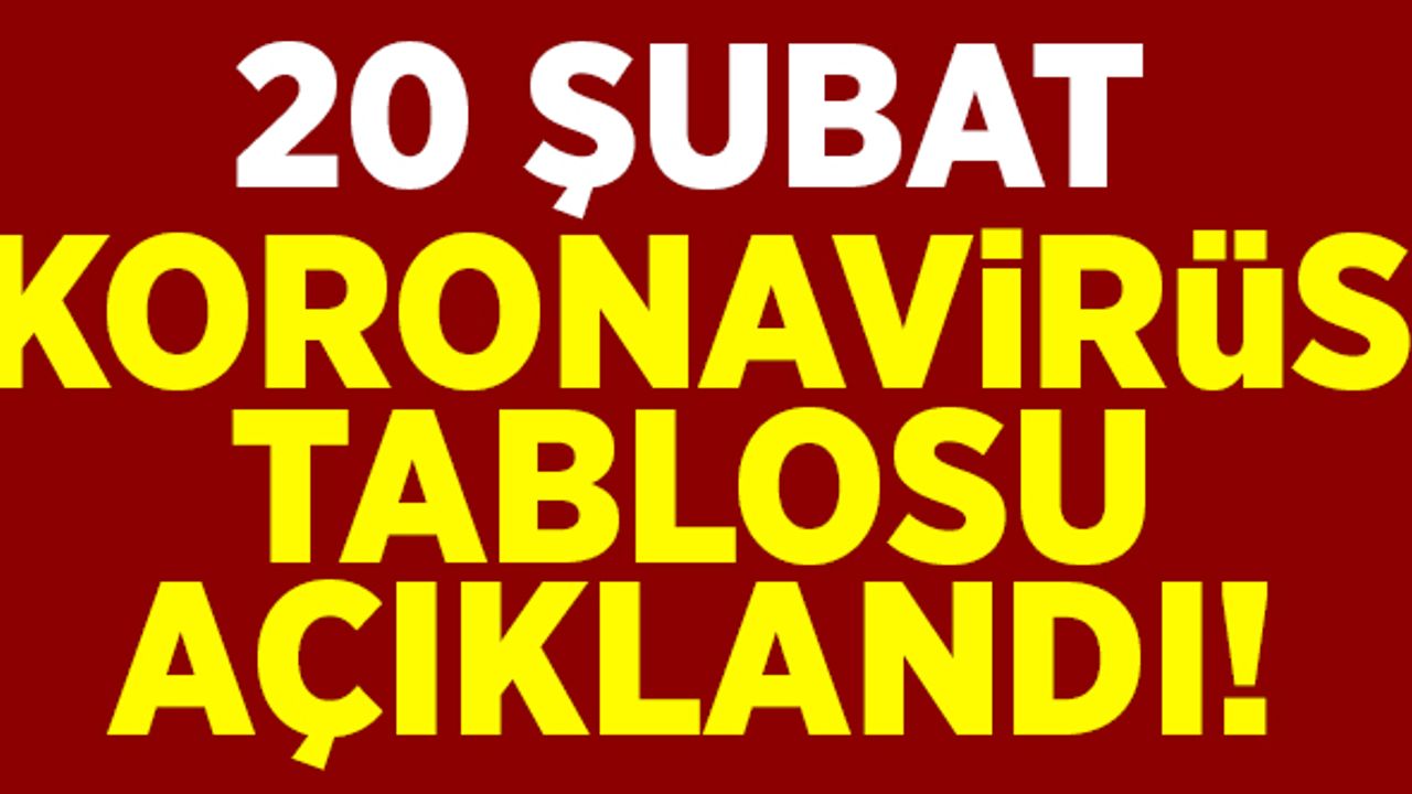 20 Şubat koronavirüs tablosu açıklandı!