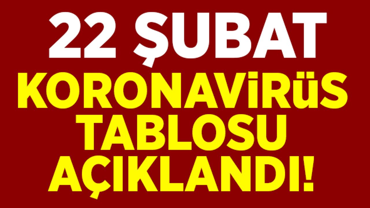 22 Şubat koronavirüs tablosu açıklandı!