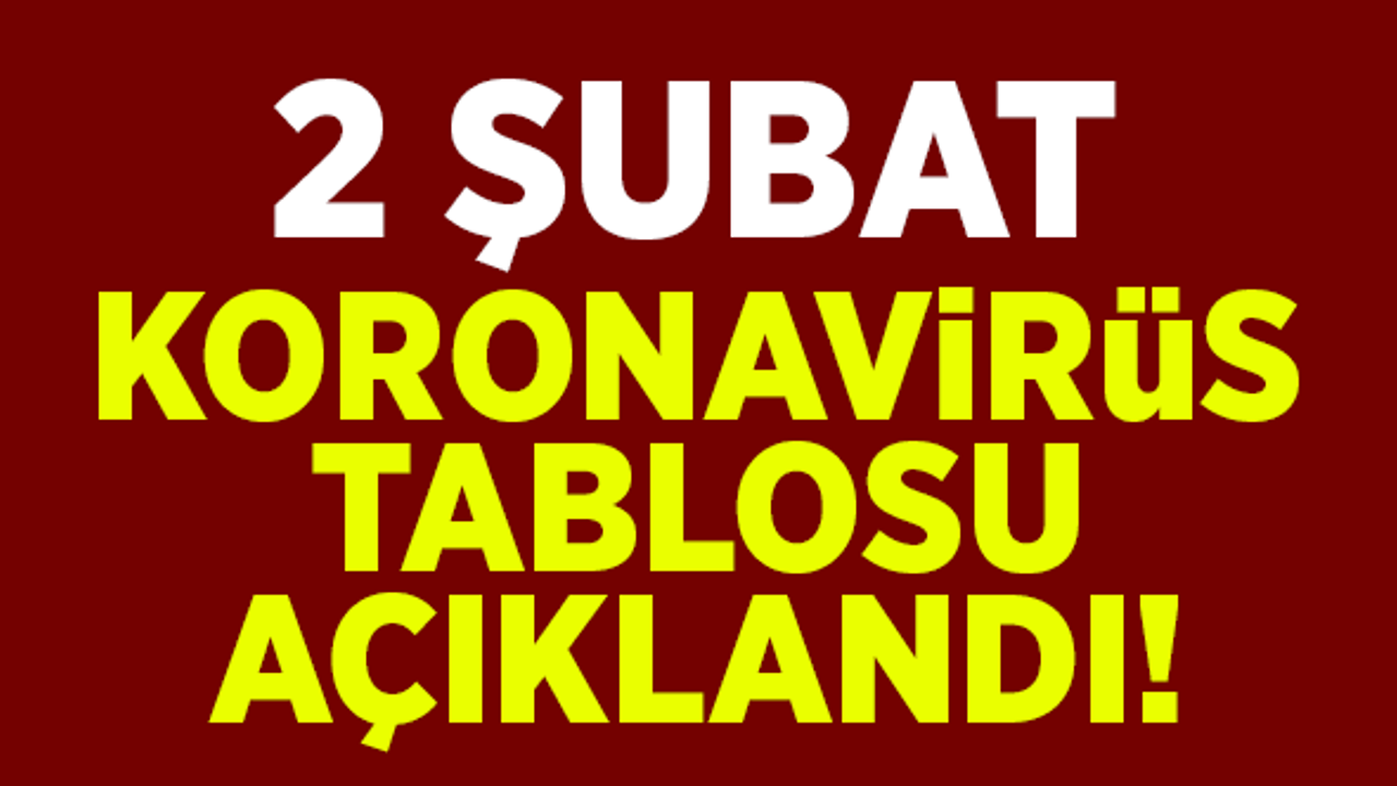 2 Şubat koronavirüs tablosu açıklandı!