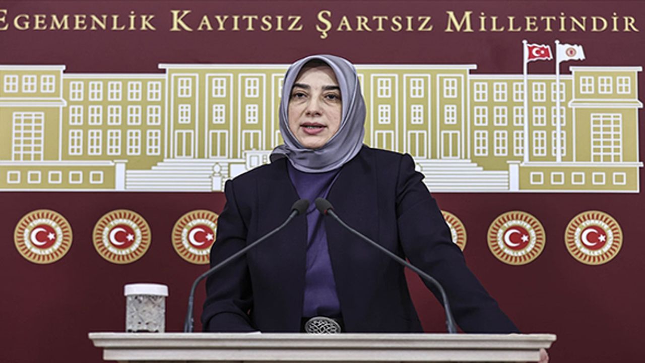 AK Partili Özlem Zengin'e sosyal medyadan hakarete soruşturma