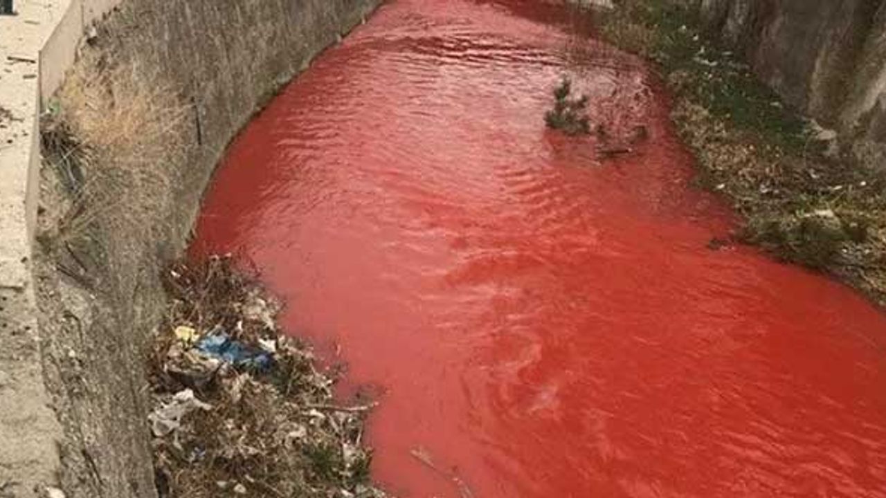 Ankara Çayı'nın rengi görenleri korkuttu