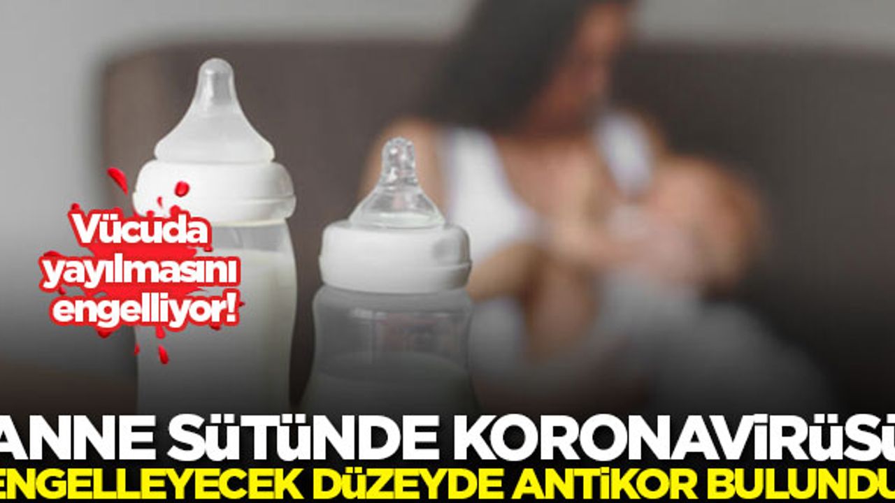 Anne sütünde koronavirüsü engelleyecek düzeyde antikor bulundu!