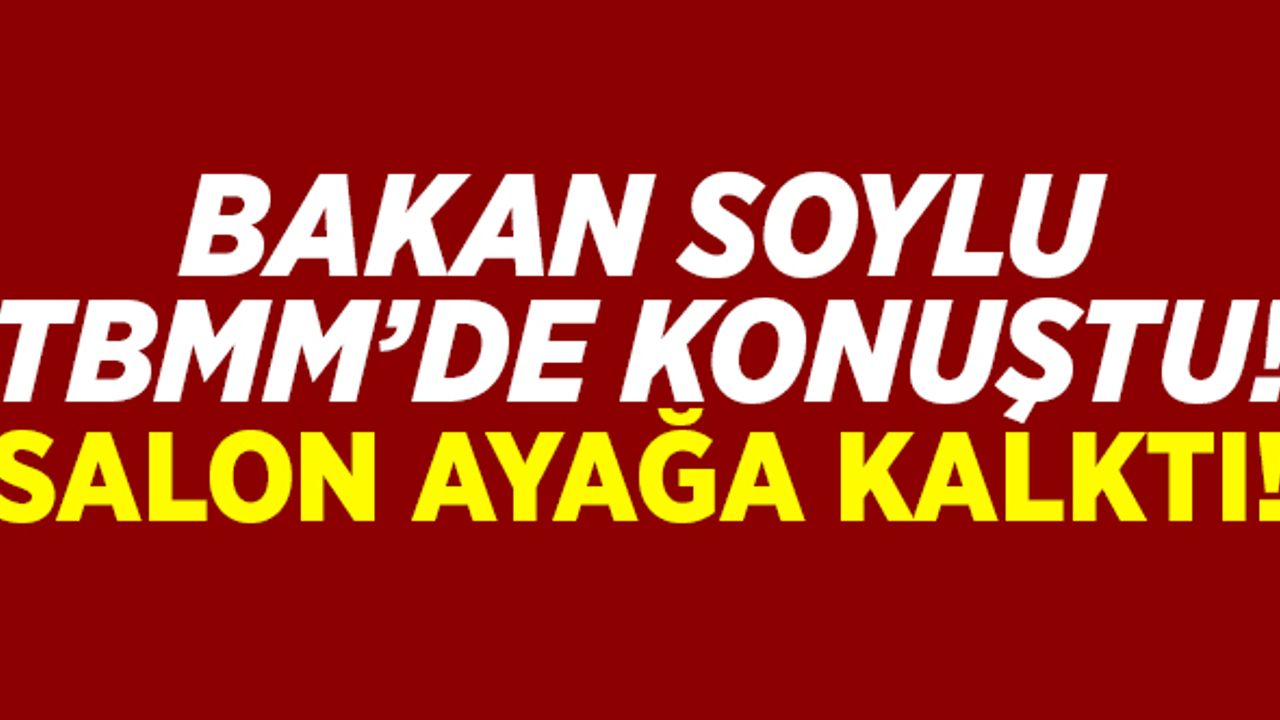 Bakan Soylu TBMM'de konuştu! Salon ayağa kalktı!