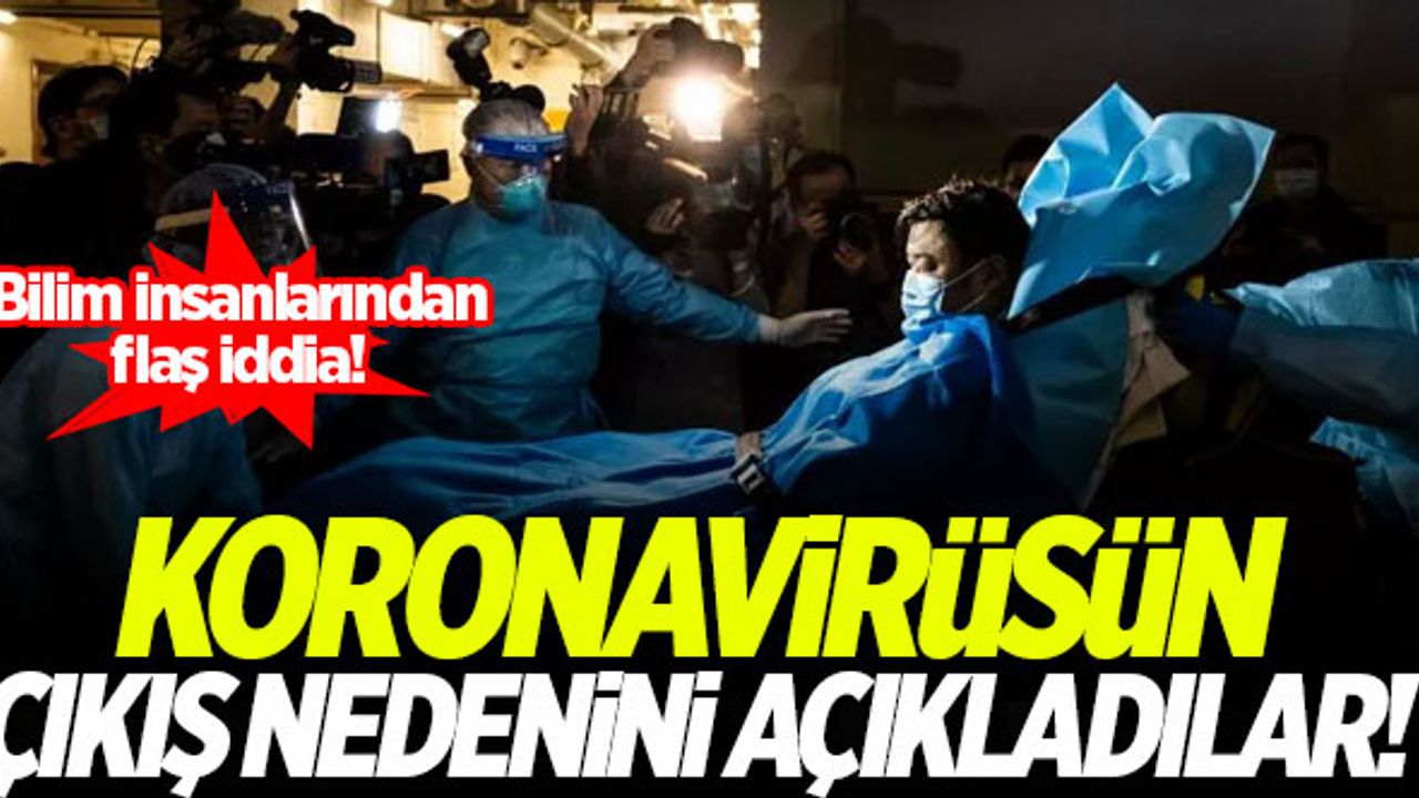 Bilim insanları koronavirüsün çıkış nedenini açıkladı!