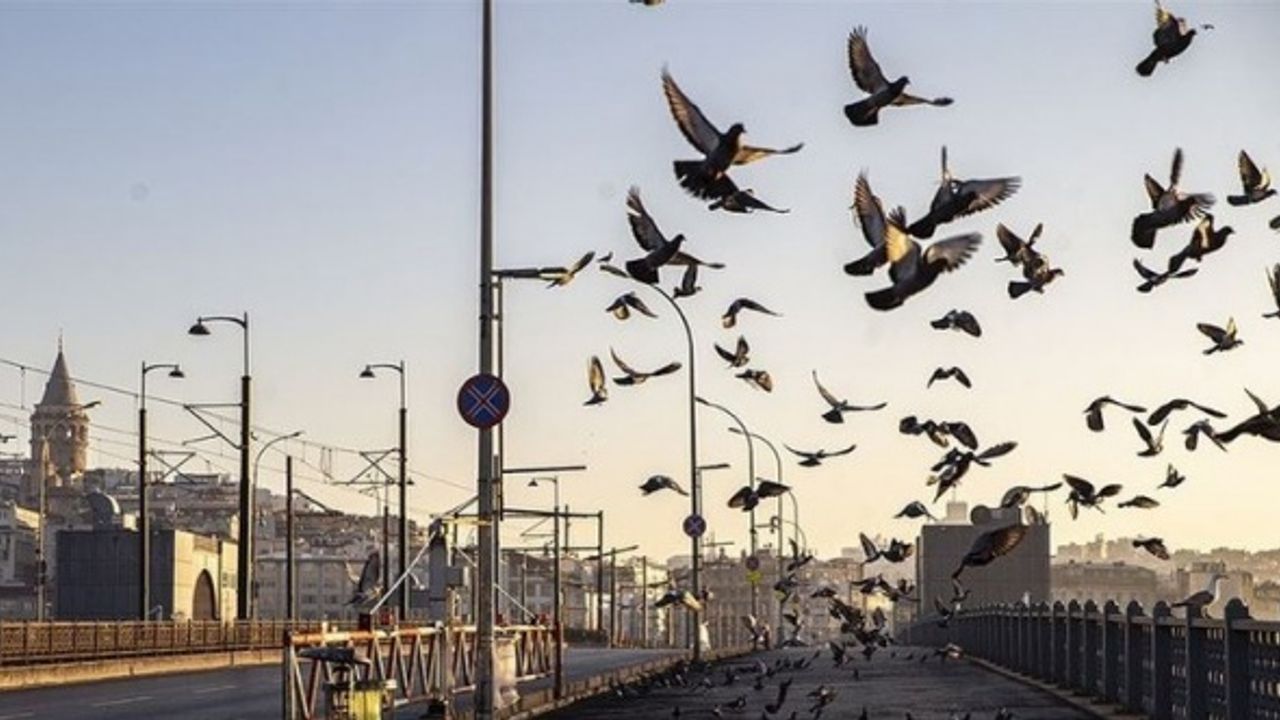 Bu hafta sonu sokağa çıkma yasağı var mı? Yasaklar ne zaman kalkacak?