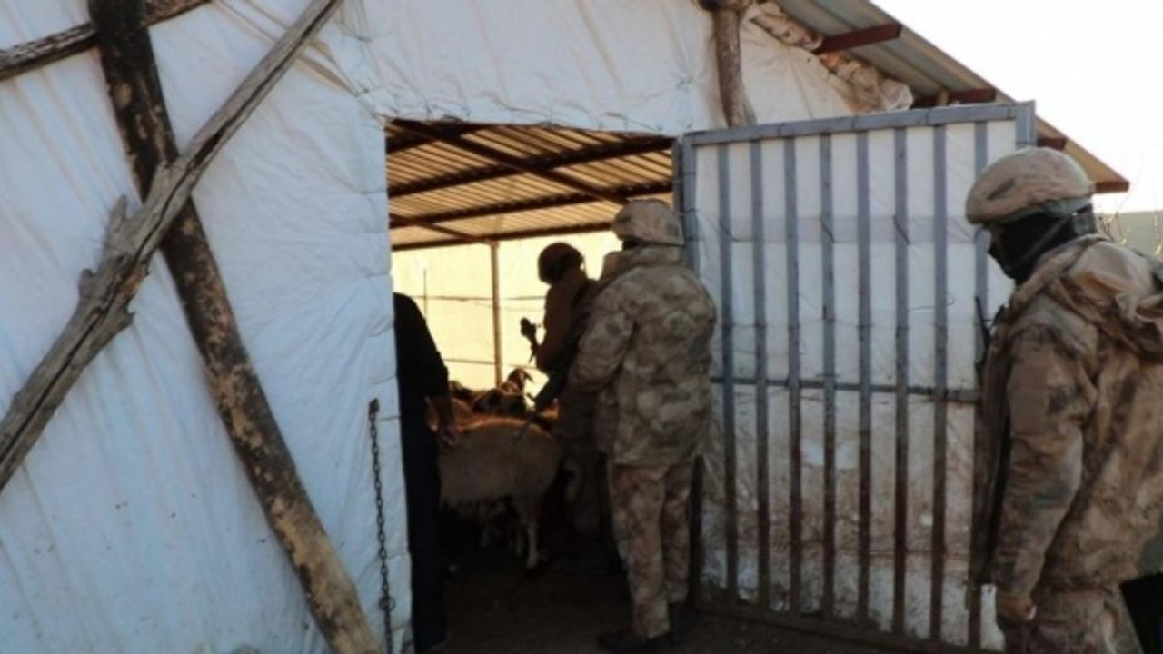 Diyarbakır'da 'Eren-2 Narko Terör Tırpan-2' operasyonunda 16 şüpheli enselendi