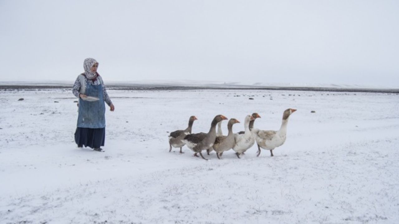 Doğu Anadolu'da en düşük sıcaklık sıfırın altında 18 dereceyle Ağrı'da ölçüldü