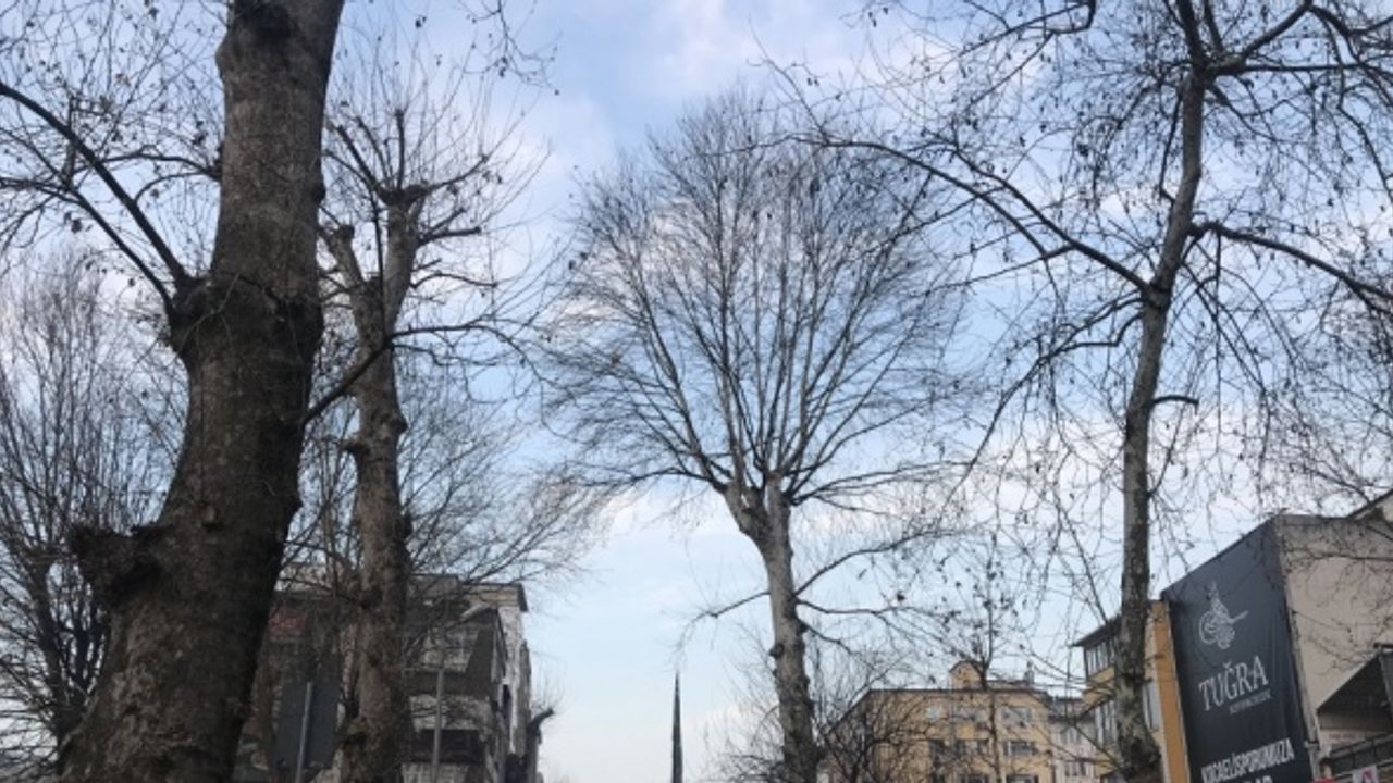 Doğu Marmara ve Batı Karadeniz'de cadde ve sokaklarda sessizlik hakim