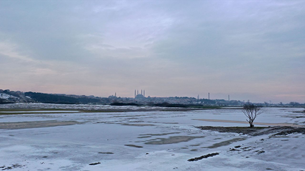 Edirne'de soğuk hava nedeniyle nehir kenarındaki tarlalar buz tuttu