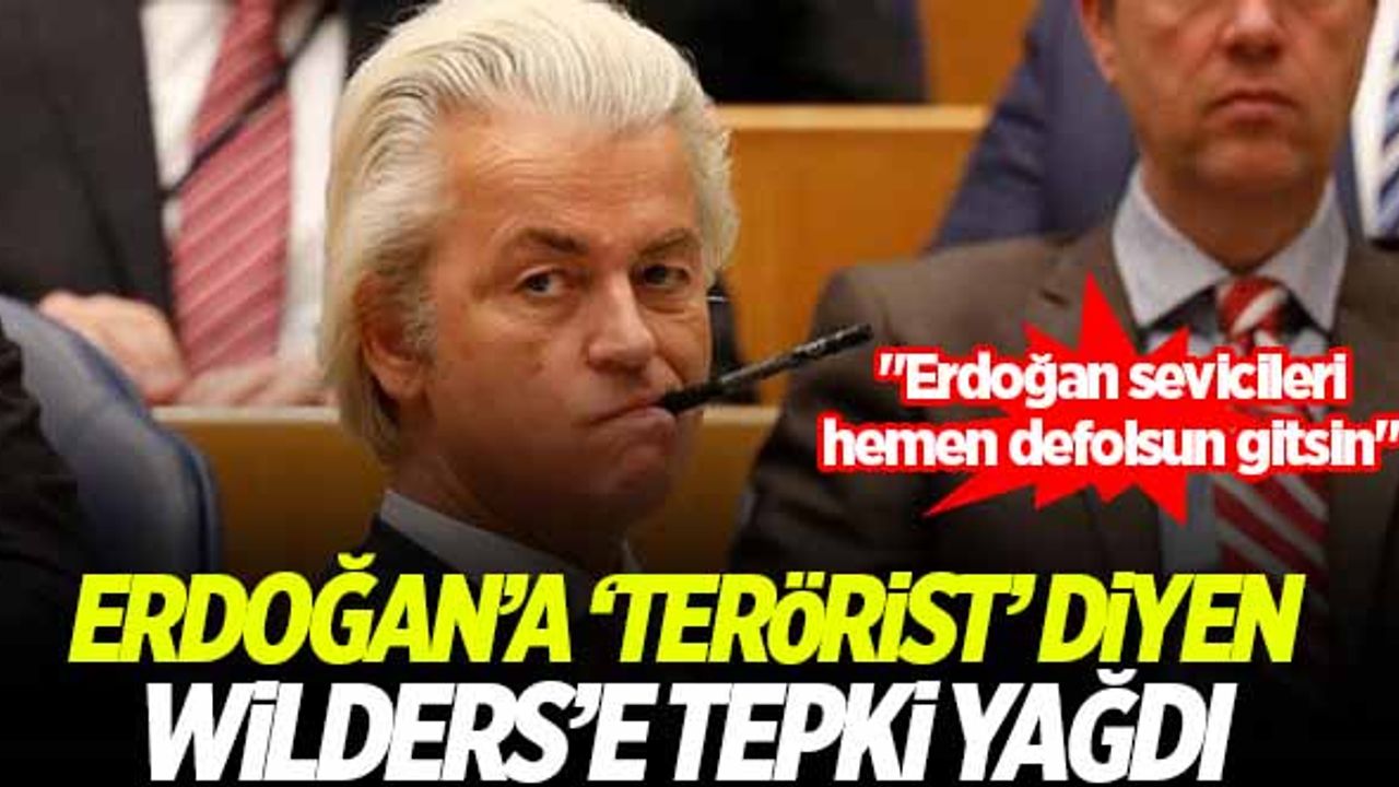 Erdoğan'a 'terörist' diyen Wilders'a tepki yağdı!