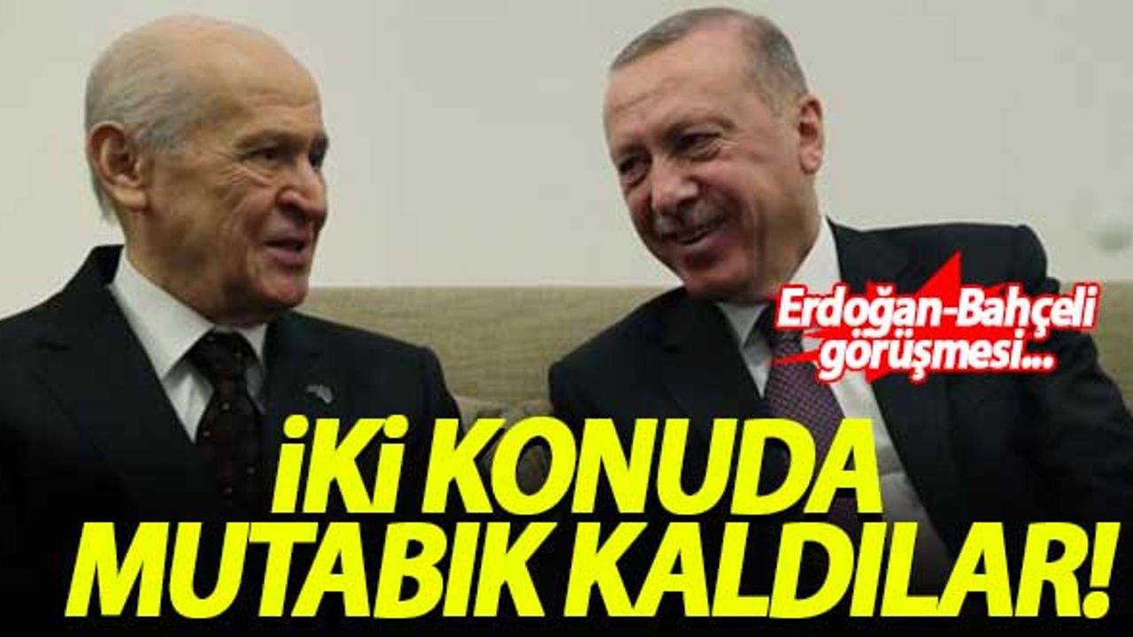 Erdoğan-Bahçeli görüşmesinde 2 konuda mutabık kalındı!