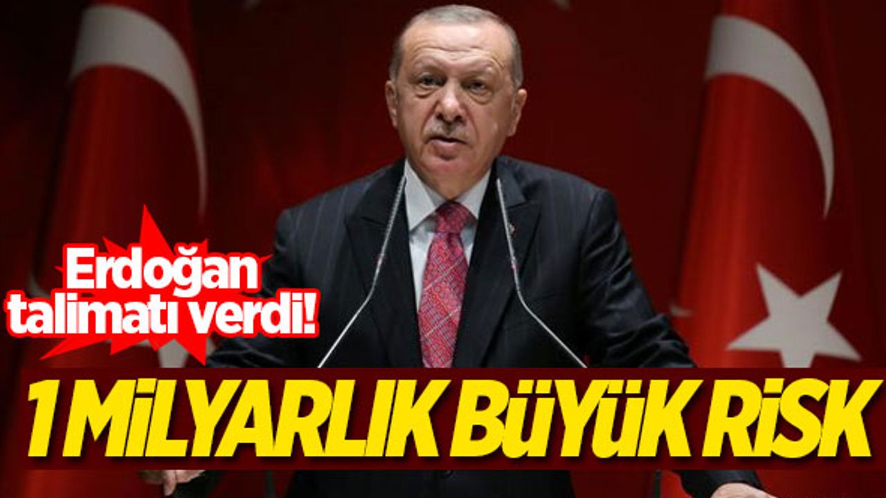 Erdoğan talimatı verdi! 1 milyarlık büyük risk...