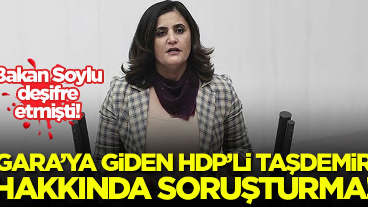 Gara'ya giden HDP'li Dirayet Dilan Taşdemir hakkında soruşturma!