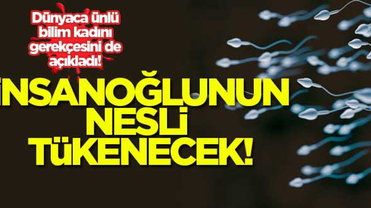 İnsanoğlunun nesli tükenecek! 2045'te sperm sayısı sıfır olacak...