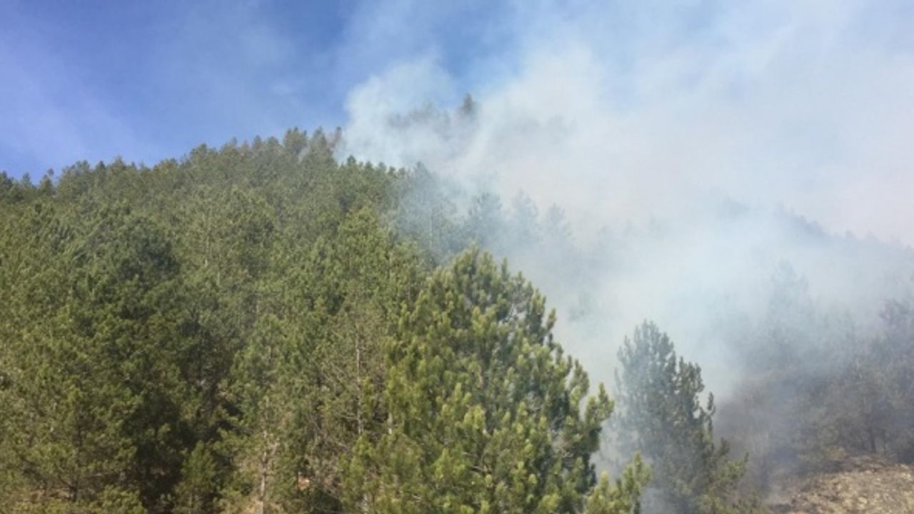 Kastamonu'da 2 farklı noktada çıkan örtü yangını kontrol altına alındı