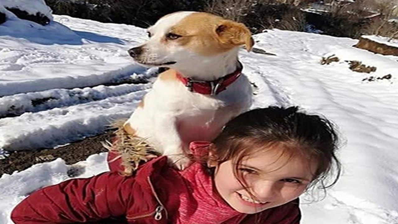 Küçük kızın sırtında taşıyıp veterinere götürdüğü köpeğine kulübe ve mama desteği
