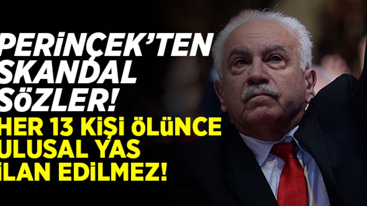 Perinçek'ten skandal sözler! "Öyle her 13 kişi öldüğü zaman ulusal yas olmaz"