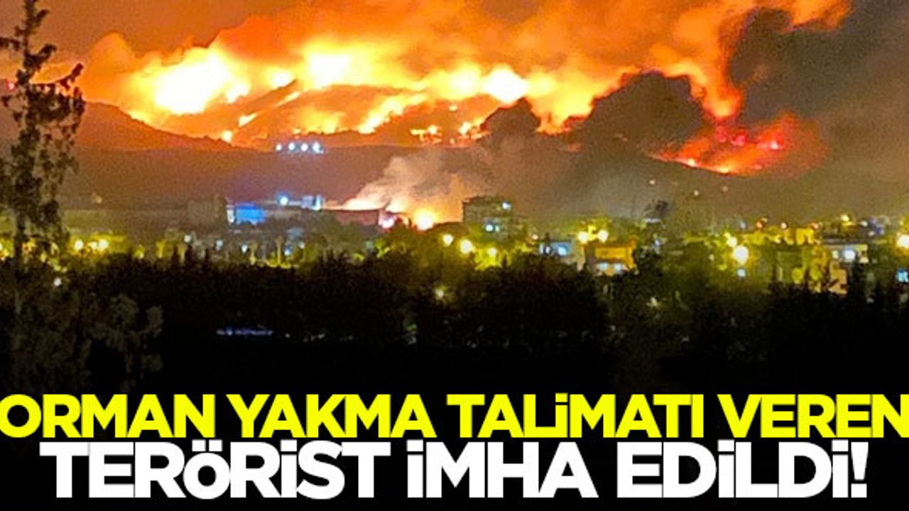 PKK'lı teröristlere orman yakma talimatı veren terörist imha edildi