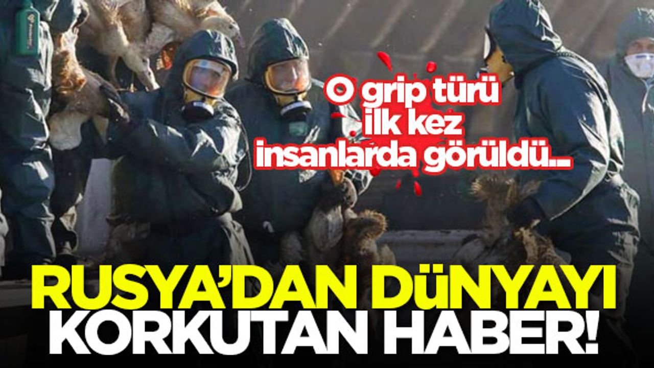 Rusya'dan tüm dünyayı korkutan haber! O grip türü ilk kez insanlarda görüldü...