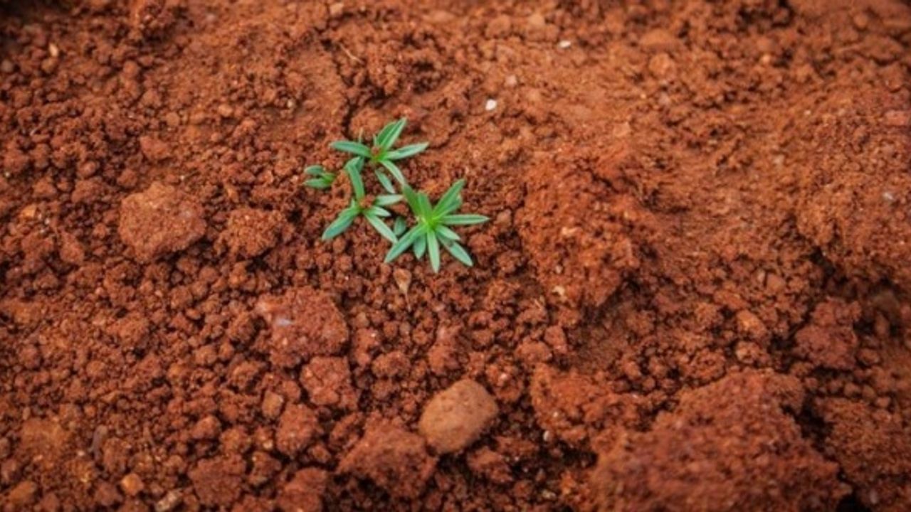 Rüyada toprak görmek ne demek, ne anlama gelir?