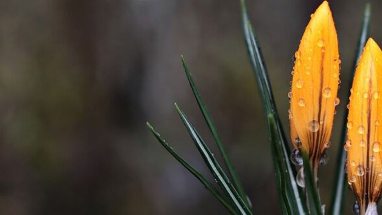 Cemre, suya düştü! Peki üçüncü cemre ne zaman düşecek? İşte bütün detaylar...