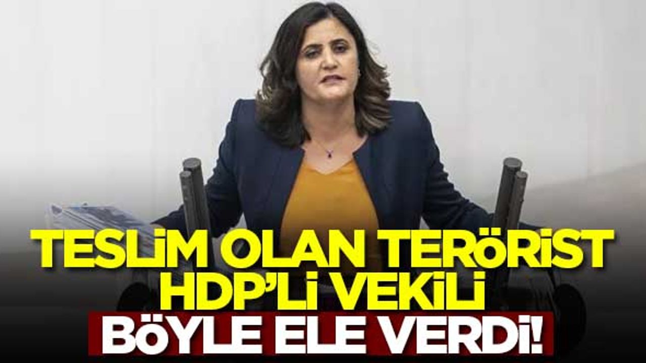 Teslim olan terörist HDP'li Dirayet Dilan Taşdemir'i böyle ele verdi