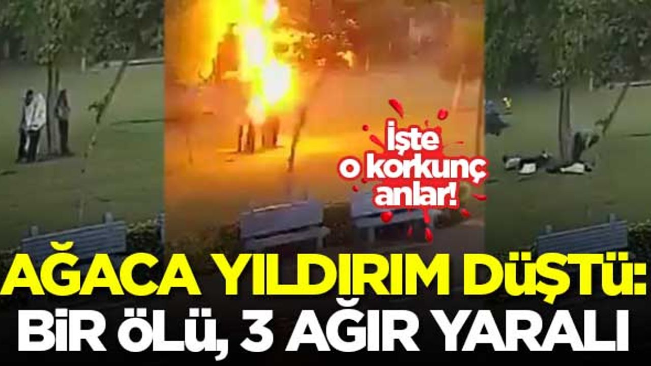 Ağaca yıldırım düştü: 1 ölü, 3 ağır yaralı