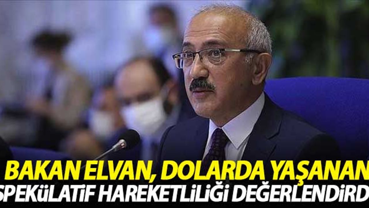 Bakan Elvan dolarda yaşanan spekülatif hareketlilik hakkında açıklama yaptı
