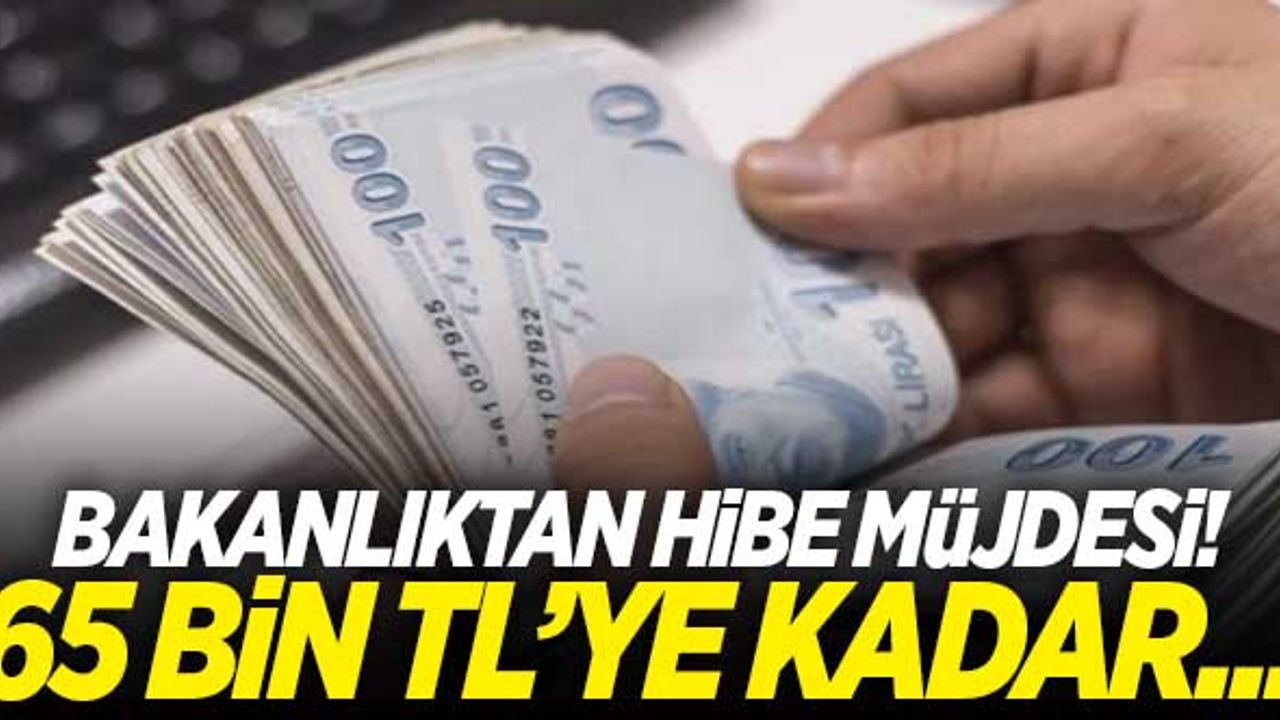 Bakanlık müjdeyi verdi! 65 bin TL kadar hibe...