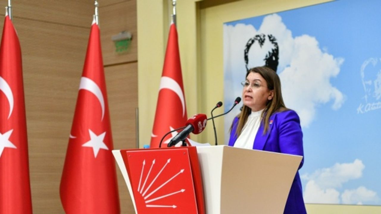 CHP'li Gülizar Biçer Karaca, İnsan Hakları Eylem Planı'nı değerlendirdi