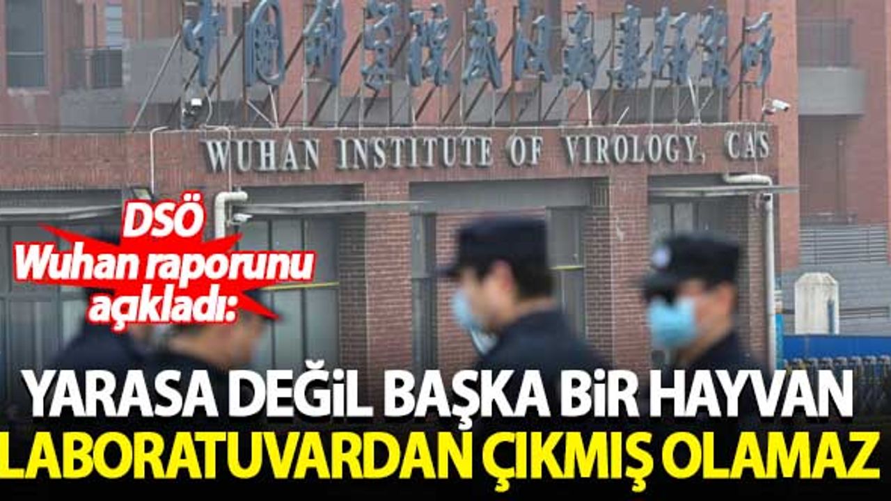 DSÖ açıkladı: Yarasa değil başka bir hayvan... Laboratuvardan çıkma ihtimali düşük...