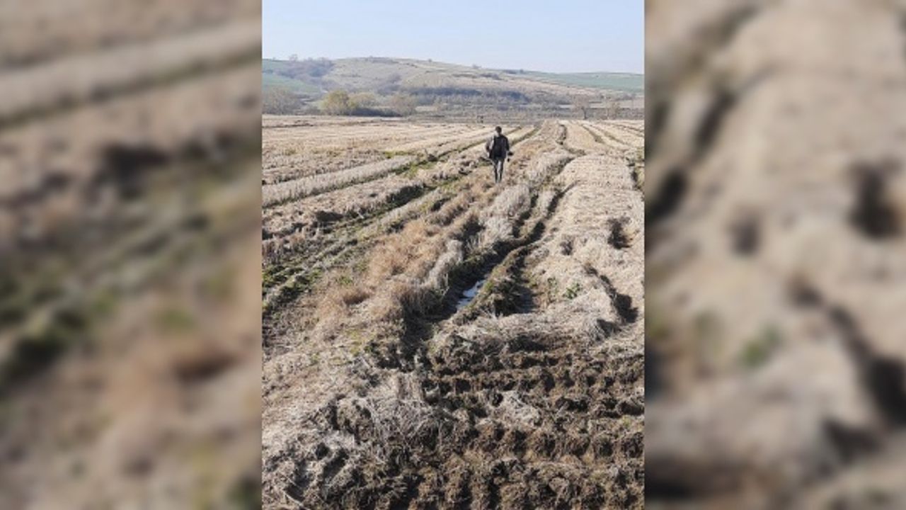 Edirne'de yasağa rağmen ördek avlayan kişiye 11 bin 471 lira ceza kesildi
